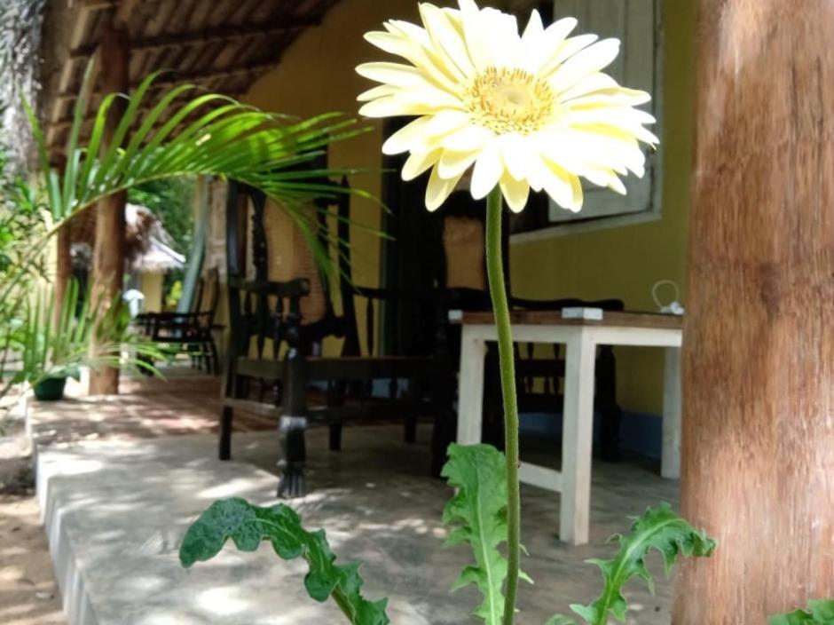 Kelaya At Hiriketiya Collection Hotel Dickwella Exterior photo